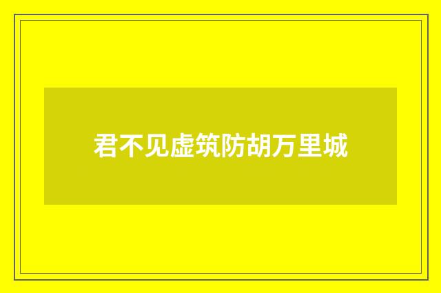 君不见虚筑防胡万里城