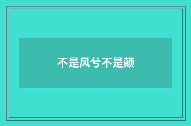 不是风兮不是颠