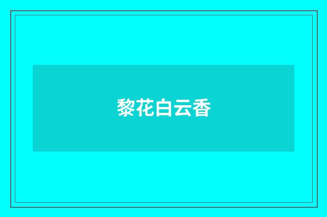 黎花白云香