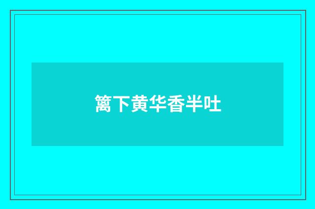 篱下黄华香半吐