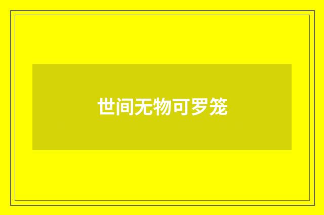 世间无物可罗笼