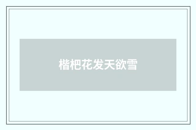 楷杷花发天欲雪
