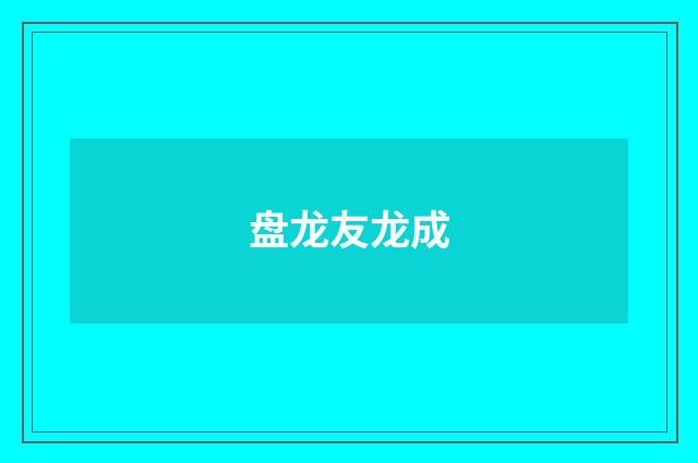 盘龙友龙成