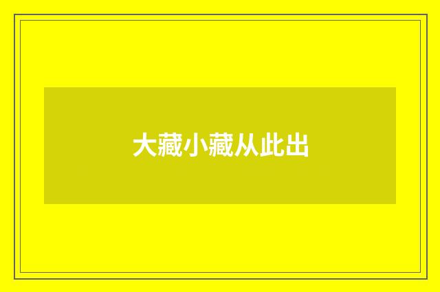 大藏小藏从此出