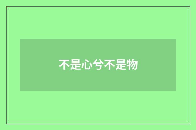 不是心兮不是物