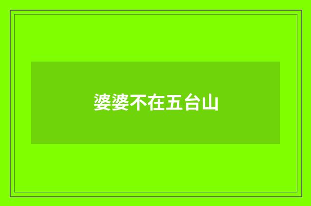 婆婆不在五台山