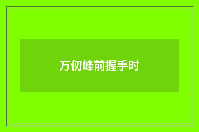 万仞峰前握手时