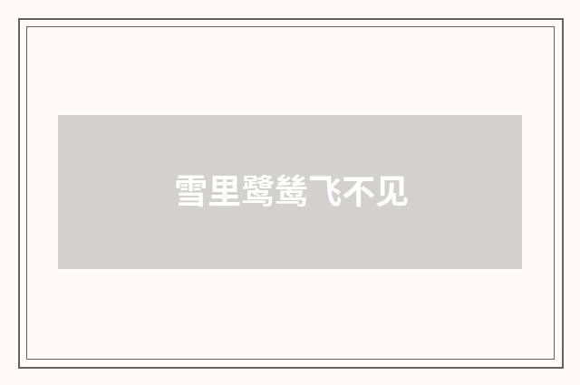 雪里鹭鸶飞不见