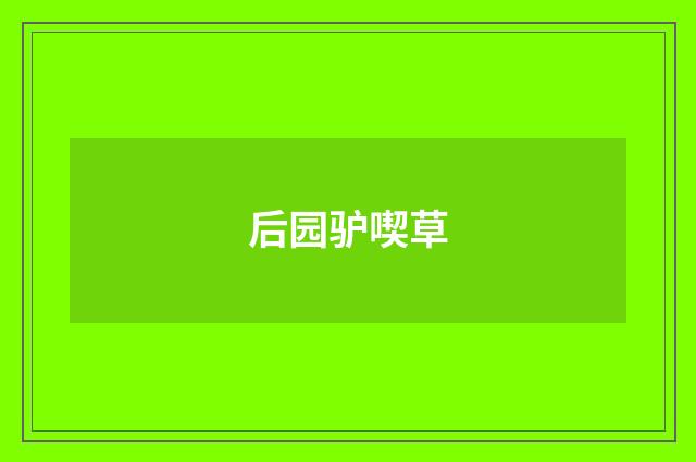 后园驴喫草
