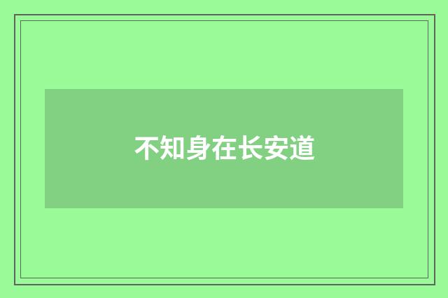 不知身在长安道