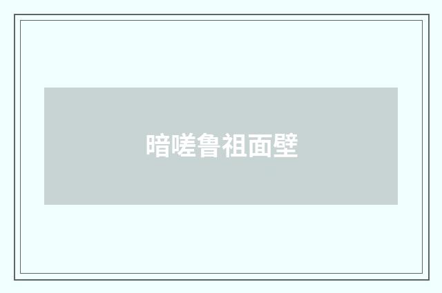 暗嗟鲁祖面壁
