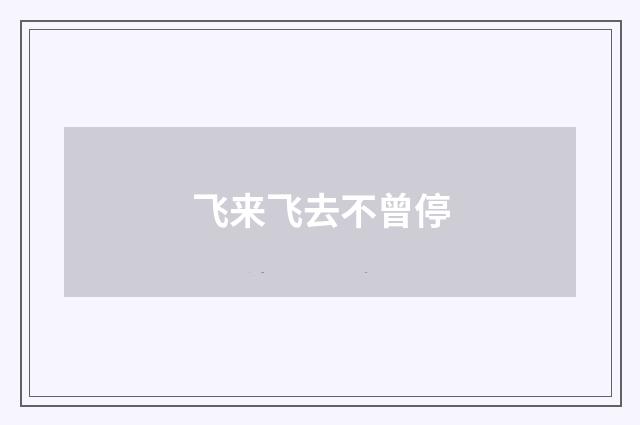 飞来飞去不曾停