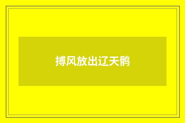 搏风放出辽天鹘