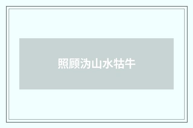 照顾沩山水牯牛