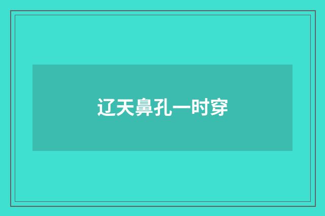 辽天鼻孔一时穿