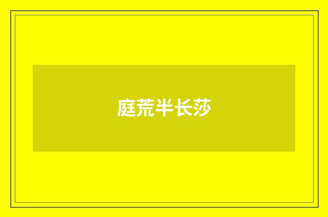 庭荒半长莎