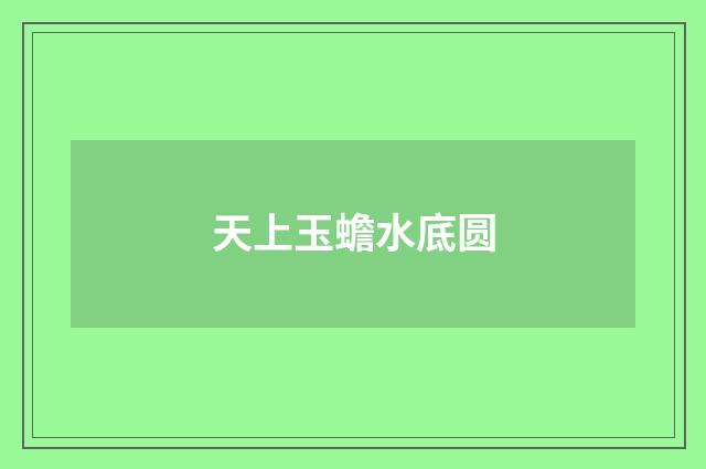 天上玉蟾水底圆