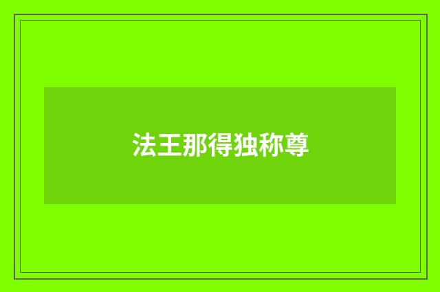 法王那得独称尊
