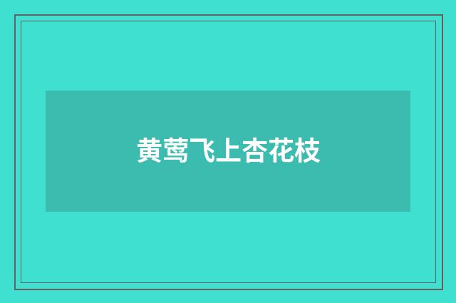 黄莺飞上杏花枝