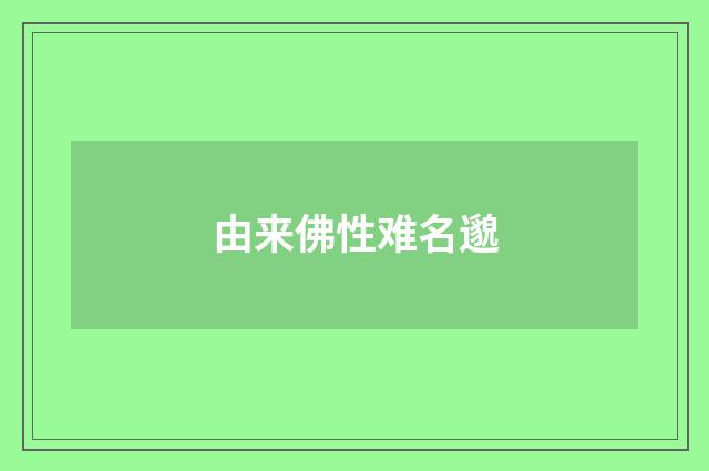 由来佛性难名邈