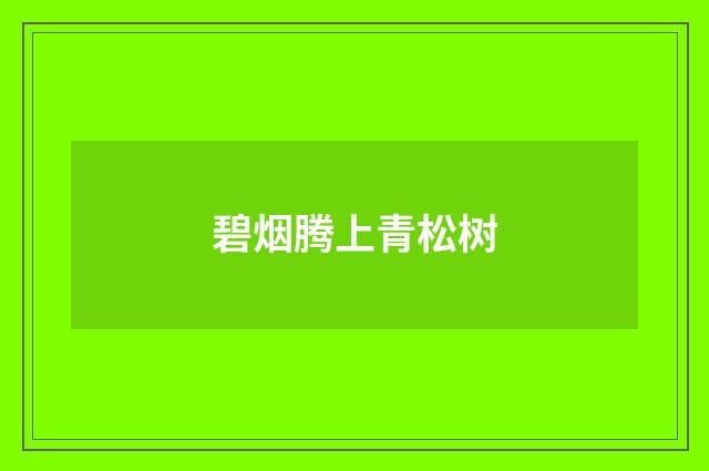 碧烟腾上青松树