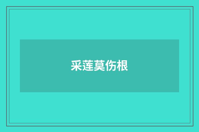 采莲莫伤根