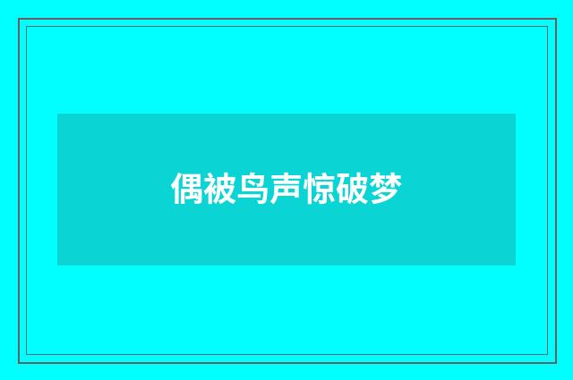 偶被鸟声惊破梦