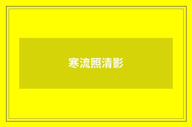 寒流照清影