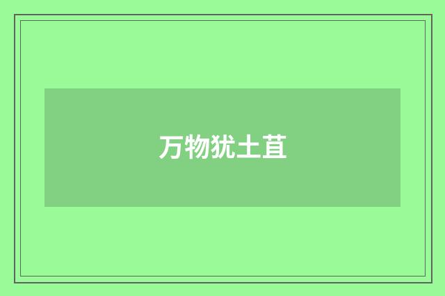 万物犹土苴