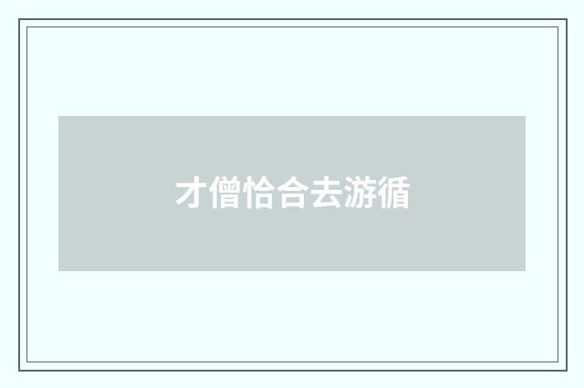 才僧恰合去游循