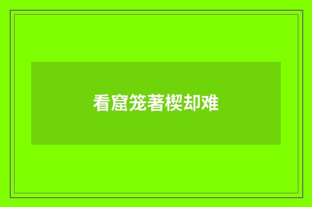 看窟笼著楔却难