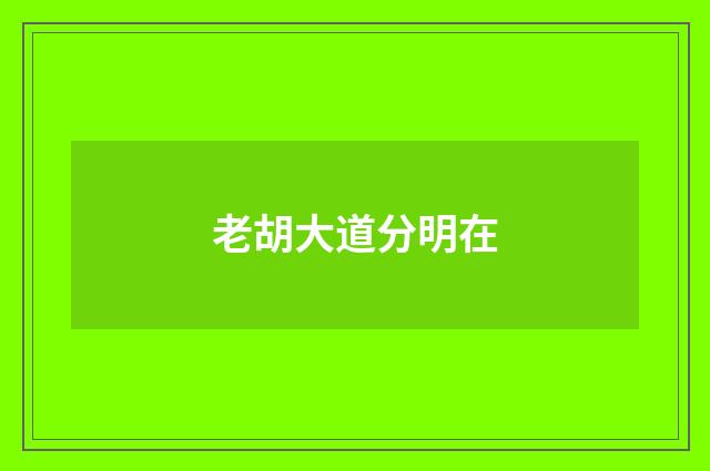 老胡大道分明在