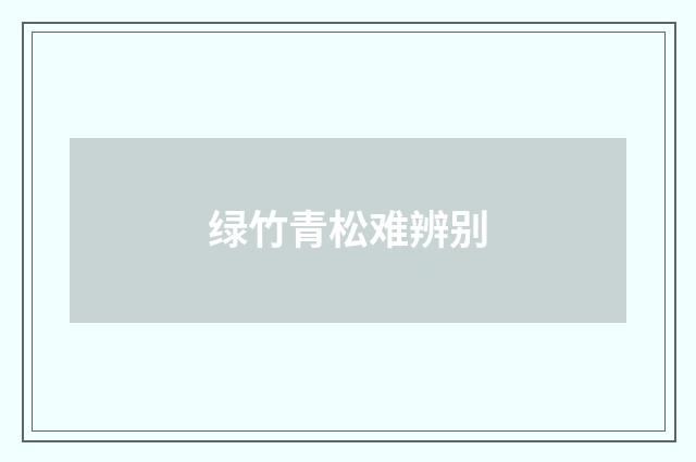 绿竹青松难辨别
