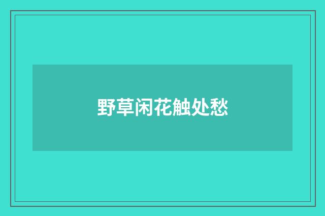 野草闲花触处愁