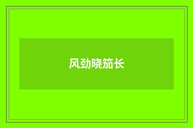 风劲晓笳长