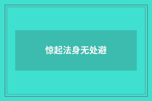 惊起法身无处避