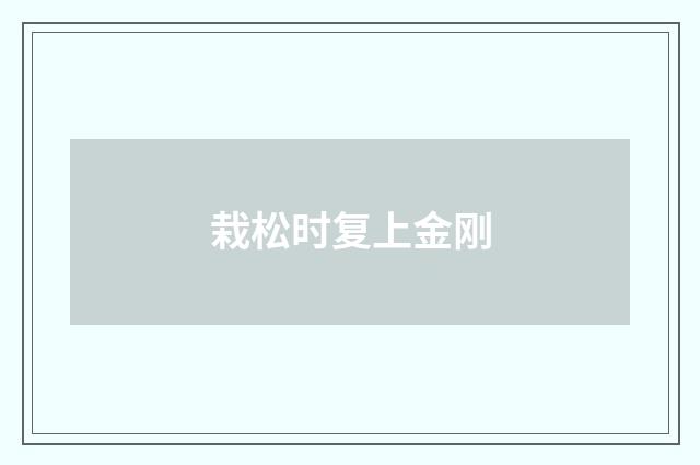 栽松时复上金刚