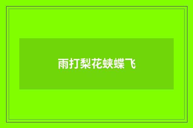 雨打梨花蛱蝶飞