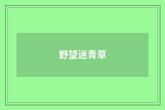 野望迷青草