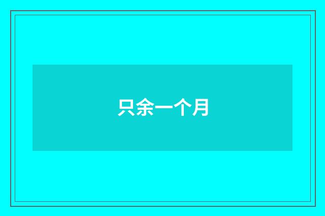 只余一个月