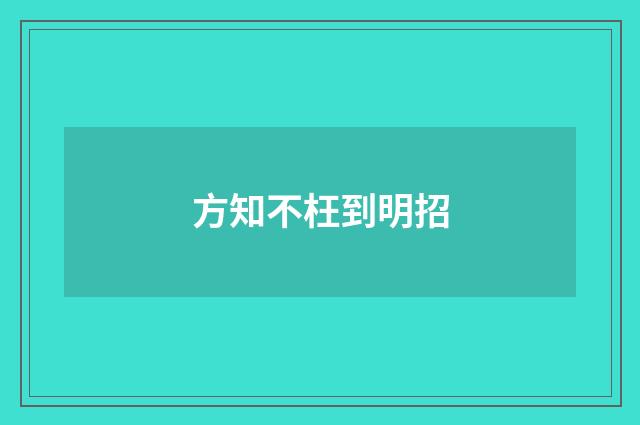 方知不枉到明招