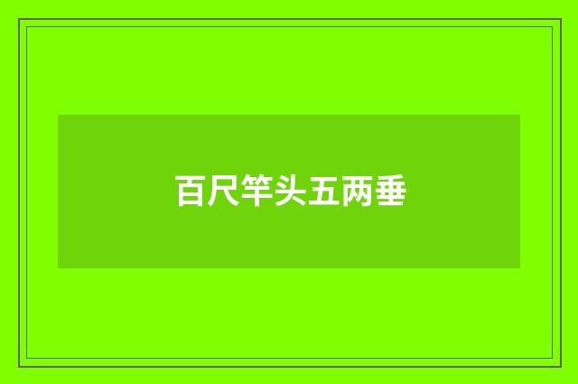 百尺竿头五两垂