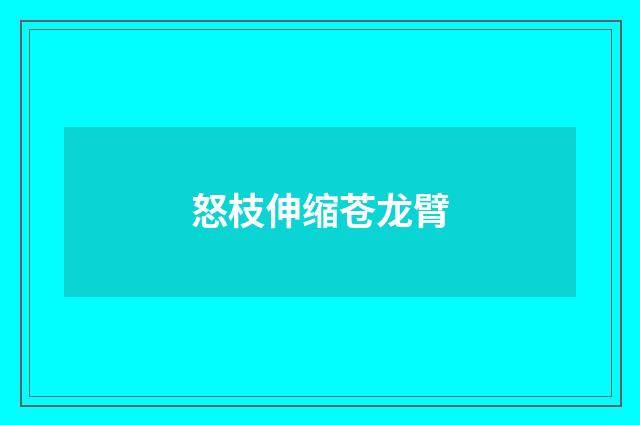 怒枝伸缩苍龙臂