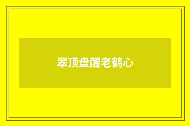 翠顶盘醒老鹤心
