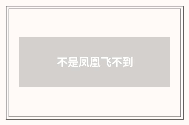 不是凤凰飞不到