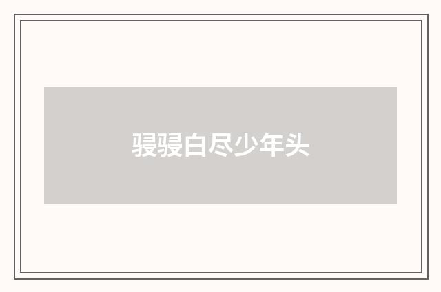 骎骎白尽少年头