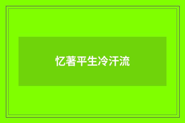 忆著平生冷汗流