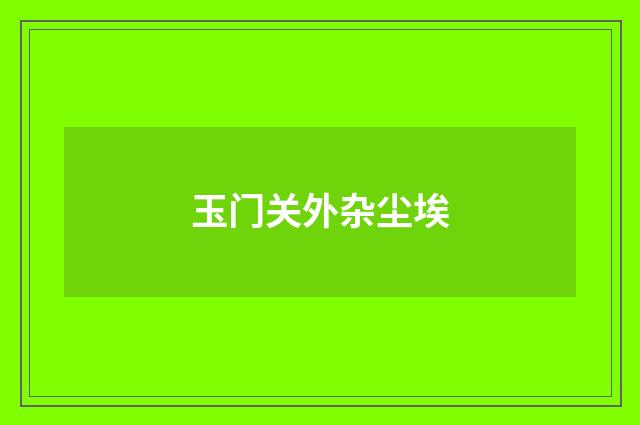 玉门关外杂尘埃