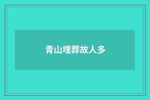青山埋葬故人多