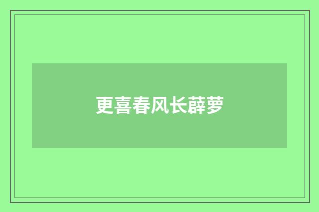 更喜春风长薜萝